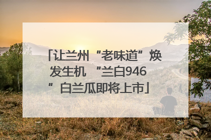 让兰州“老味道”焕发生机 “兰白946”白兰瓜即将上市
