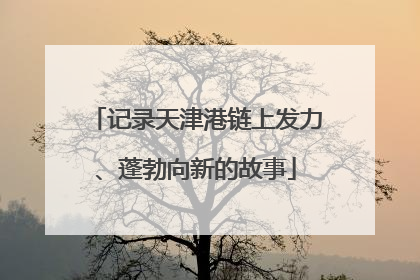 记录天津港链上发力、蓬勃向新的故事