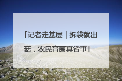 记者走基层｜拆袋就出菇，农民育菌真省事