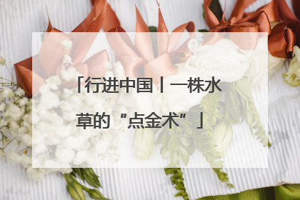 行进中国丨一株水草的“点金术”
