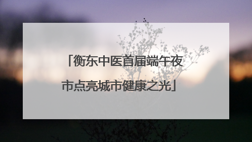 衡东中医首届端午夜市点亮城市健康之光