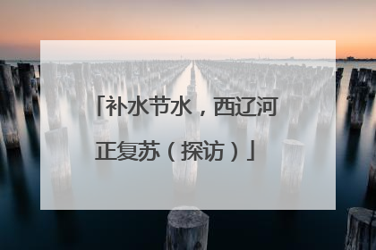 补水节水，西辽河正复苏（探访）