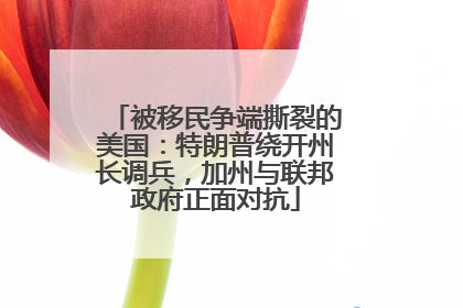 被移民争端撕裂的美国：特朗普绕开州长调兵，加州与联邦政府正面对抗