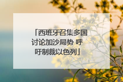 西班牙召集多国讨论加沙局势 呼吁制裁以色列