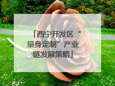 西宁开发区“量身定制”产业链发展策略