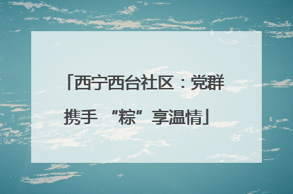 西宁西台社区：党群携手 “粽”享温情