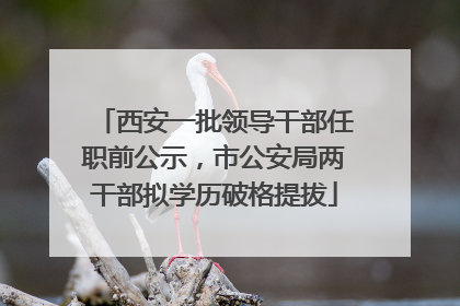 西安一批领导干部任职前公示，市公安局两干部拟学历破格提拔
