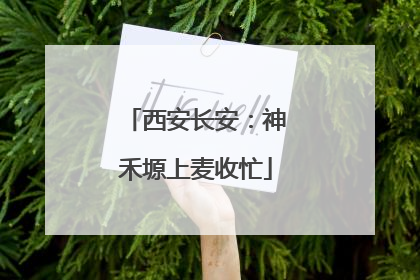 西安长安：神禾塬上麦收忙
