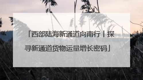 西部陆海新通道向南行丨探寻新通道货物运量增长密码