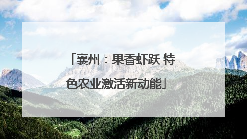 襄州：果香虾跃 特色农业激活新动能