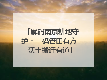 解码南京耕地守护：一码管田有方 沃土搬迁有道
