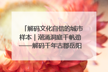 解码文化自信的城市样本｜潮涌洞庭千帆劲——解码千年古郡岳阳的文化自信样本