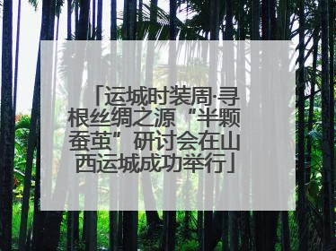 运城时装周·寻根丝绸之源“半颗蚕茧”研讨会在山西运城成功举行