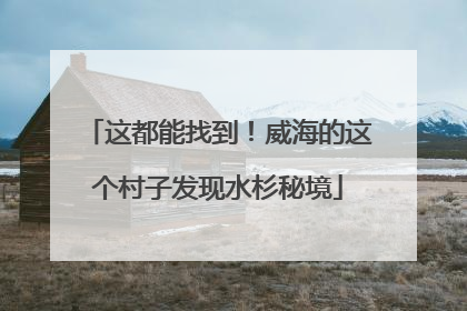 这都能找到！威海的这个村子发现水杉秘境