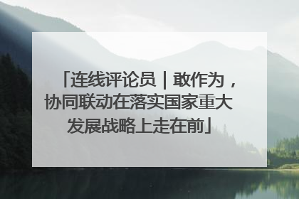 连线评论员｜敢作为，协同联动在落实国家重大发展战略上走在前