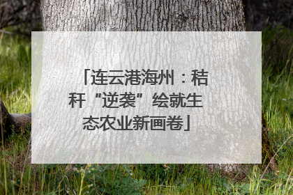 连云港海州：秸秆“逆袭”绘就生态农业新画卷