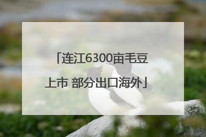连江6300亩毛豆上市 部分出口海外
