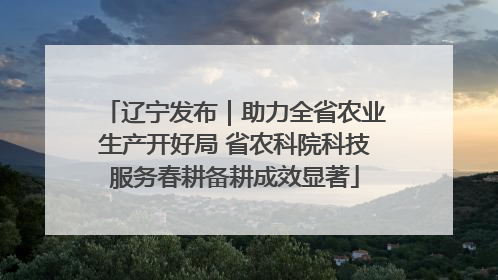 辽宁发布｜助力全省农业生产开好局 省农科院科技服务春耕备耕成效显著