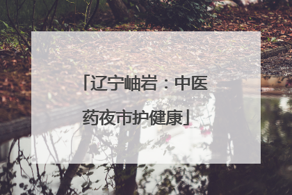 辽宁岫岩：中医药夜市护健康