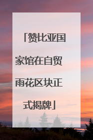 赞比亚国家馆在自贸雨花区块正式揭牌