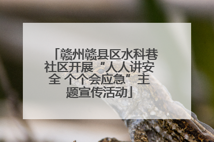 赣州赣县区水科巷社区开展“人人讲安全 个个会应急”主题宣传活动