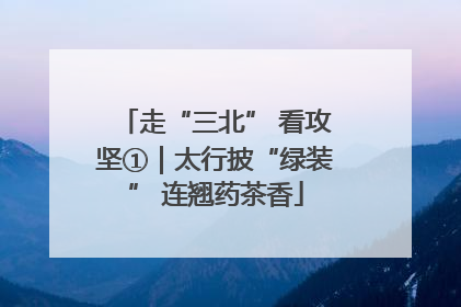 走“三北” 看攻坚①｜太行披“绿装” 连翘药茶香
