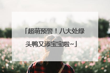 超萌预警！八大处绿头鸭又添宝宝啦~