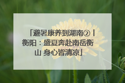 避暑康养到湖南②丨衡阳：盛夏奔赴南岳衡山 身心皆清凉