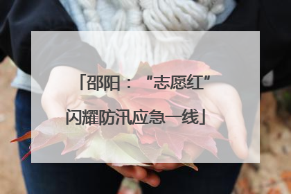 邵阳：“志愿红”闪耀防汛应急一线
