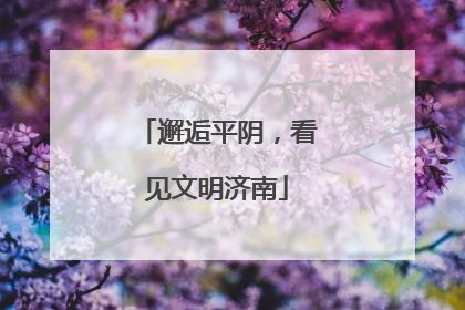 邂逅平阴，看见文明济南