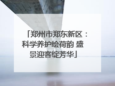 郑州市郑东新区：科学养护绘荷韵 盛景迎客绽芳华