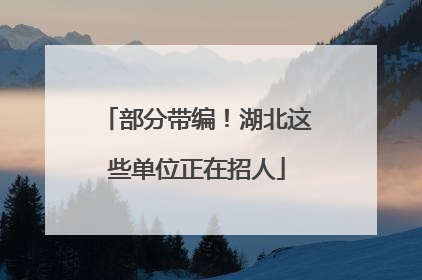 部分带编！湖北这些单位正在招人