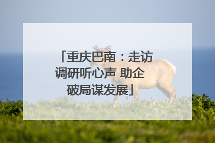重庆巴南：走访调研听心声 助企破局谋发展