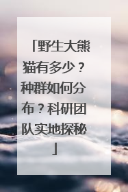 野生大熊猫有多少？种群如何分布？科研团队实地探秘
