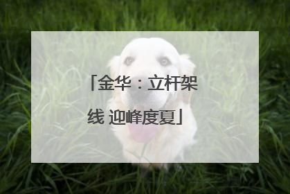 金华：立杆架线 迎峰度夏