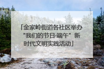 金家岭街道各社区举办“我们的节日·端午”新时代文明实践活动