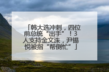 韩大选冲刺，四位前总统“出手”！3人支持金文洙，尹锡悦被指“帮倒忙”