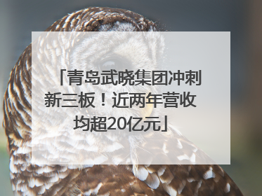 青岛武晓集团冲刺新三板！近两年营收均超20亿元