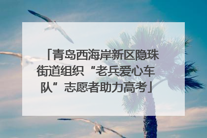 青岛西海岸新区隐珠街道组织“老兵爱心车队”志愿者助力高考