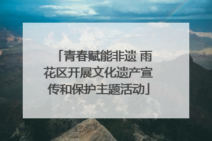 青春赋能非遗 雨花区开展文化遗产宣传和保护主题活动