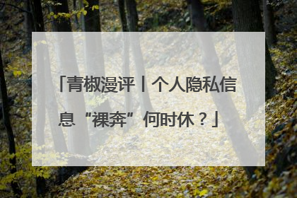 青椒漫评丨个人隐私信息“裸奔”何时休？