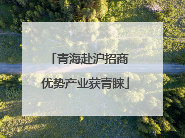 青海赴沪招商 优势产业获青睐