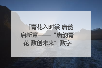 青花入时裳 唐韵启新章——“唐韵青花 数创未来”数字文创设计大赛启幕