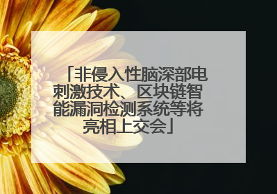 非侵入性脑深部电刺激技术、区块链智能漏洞检测系统等将亮相上交会