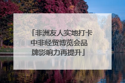 非洲友人实地打卡 中非经贸博览会品牌影响力再提升