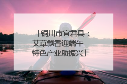 铜川市宜君县：艾草飘香迎端午 特色产业助振兴
