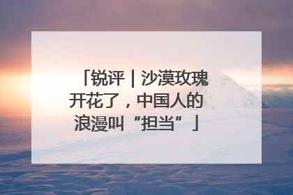 锐评｜沙漠玫瑰开花了，中国人的浪漫叫“担当”