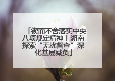 锲而不舍落实中央八项规定精神丨湖南探索“无扰督查”深化基层减负