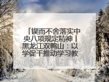 锲而不舍落实中央八项规定精神丨黑龙江双鸭山：以学促干推动学习教育走深走实 从小事入手写好“民生答卷”