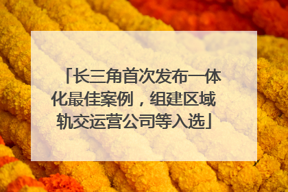 长三角首次发布一体化最佳案例，组建区域轨交运营公司等入选